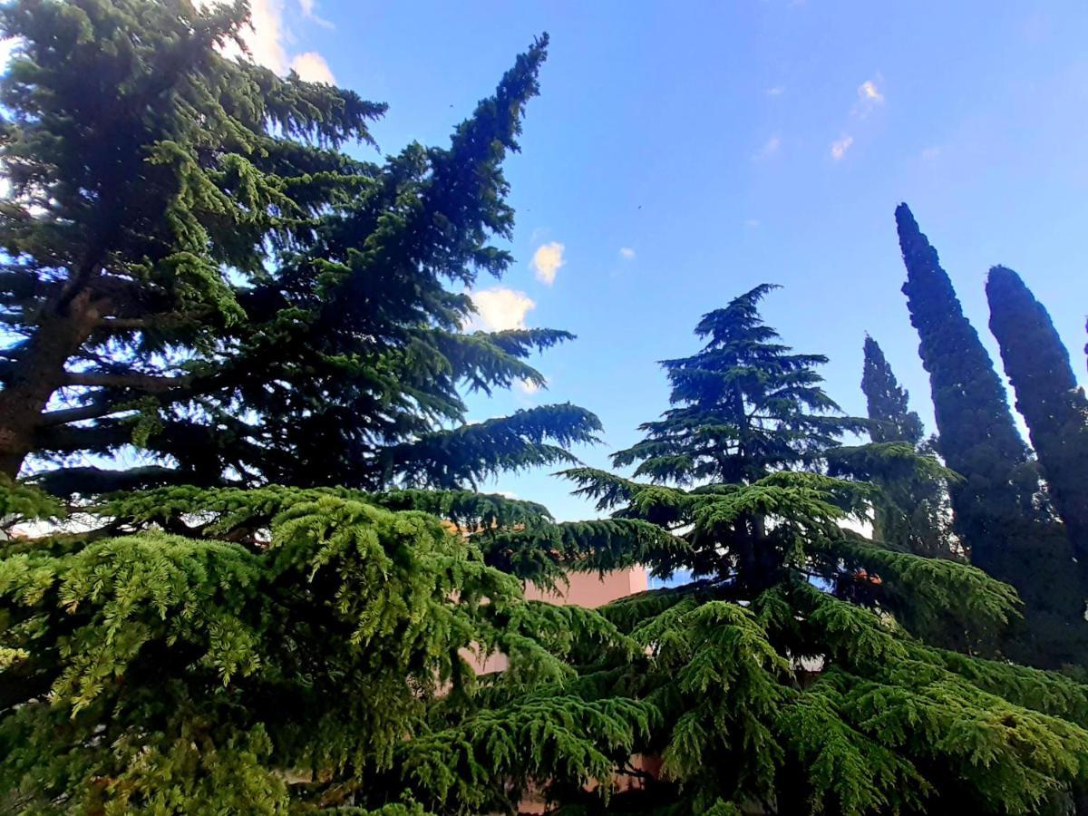 Villa Libe Baška Voda Екстериор снимка