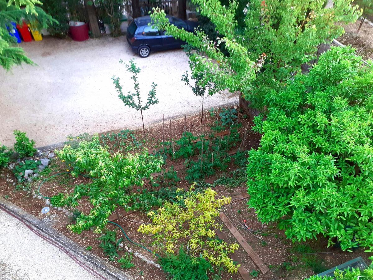 Villa Libe Baška Voda Екстериор снимка