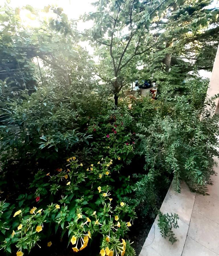 Villa Libe Baška Voda Екстериор снимка