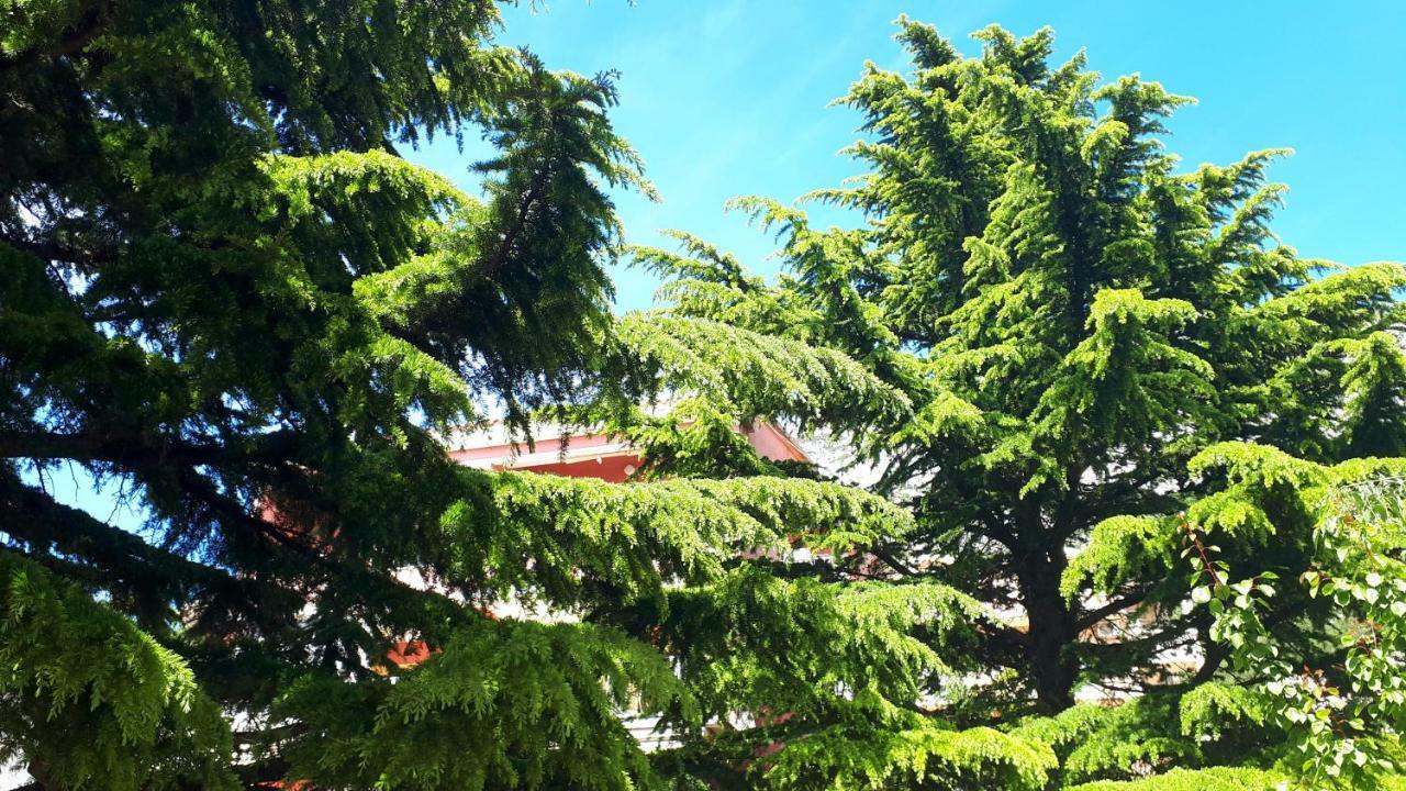 Villa Libe Baška Voda Екстериор снимка